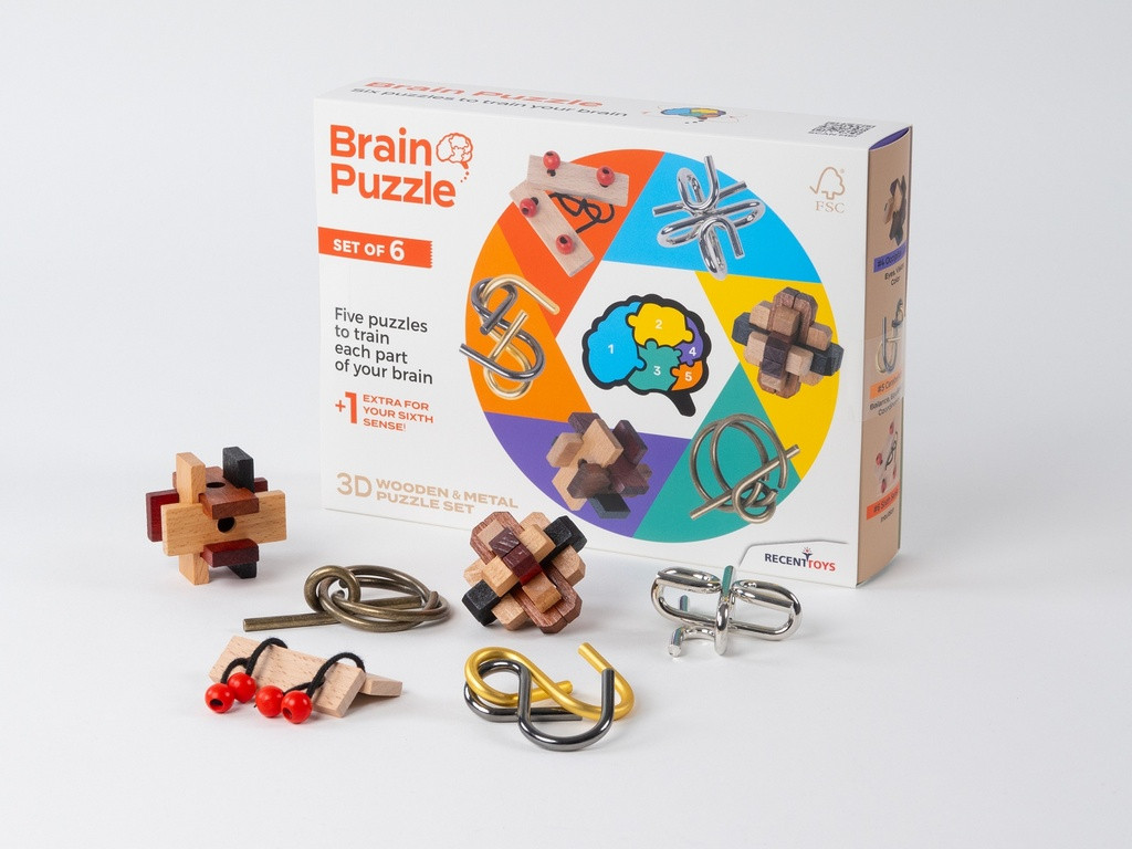 Brain Puzzle sada 6 hlavolamů